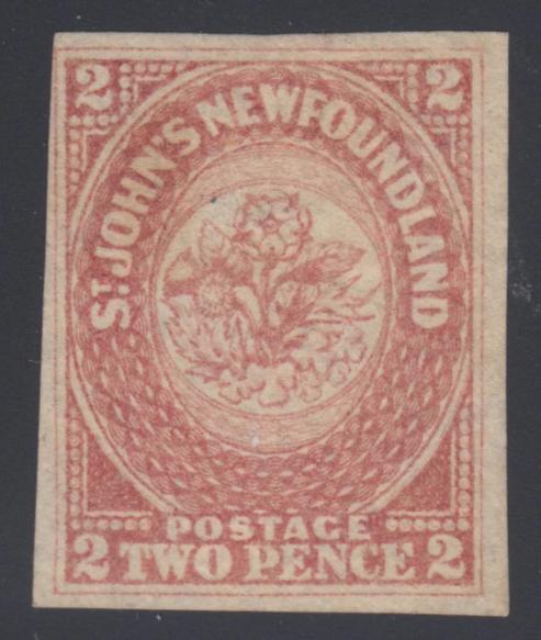 0017NF2204 - Newfoundland #17 - Mint