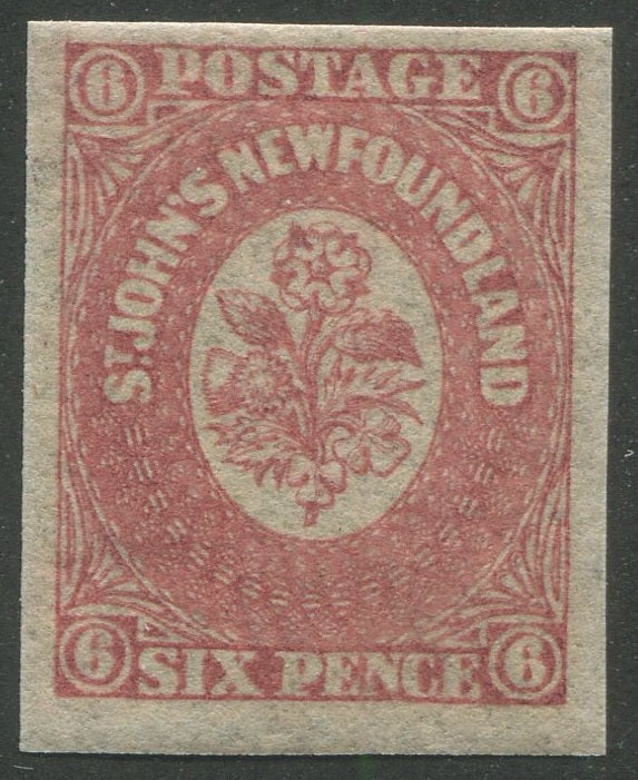 0020NF2303 - Newfoundland #20 - Mint