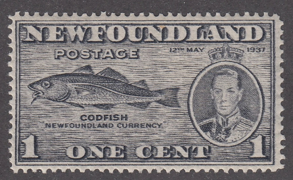 0233NF2103 - Newfoundland #233 - Mint, Strong Double