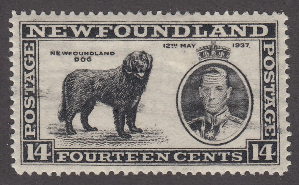 0238NF2012 - Newfoundland #238 - Mint