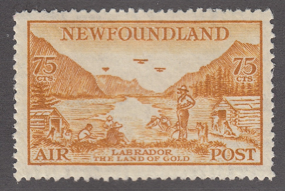 0287NF1805 - Newfoundland C17 - Mint