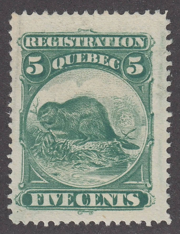 0125QR2102 - QR5 - Mint, Jumbo